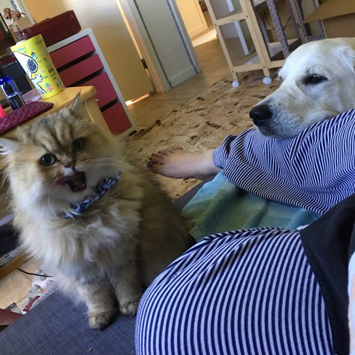 21c16889 082f 4465 a576 ef0d679aea93