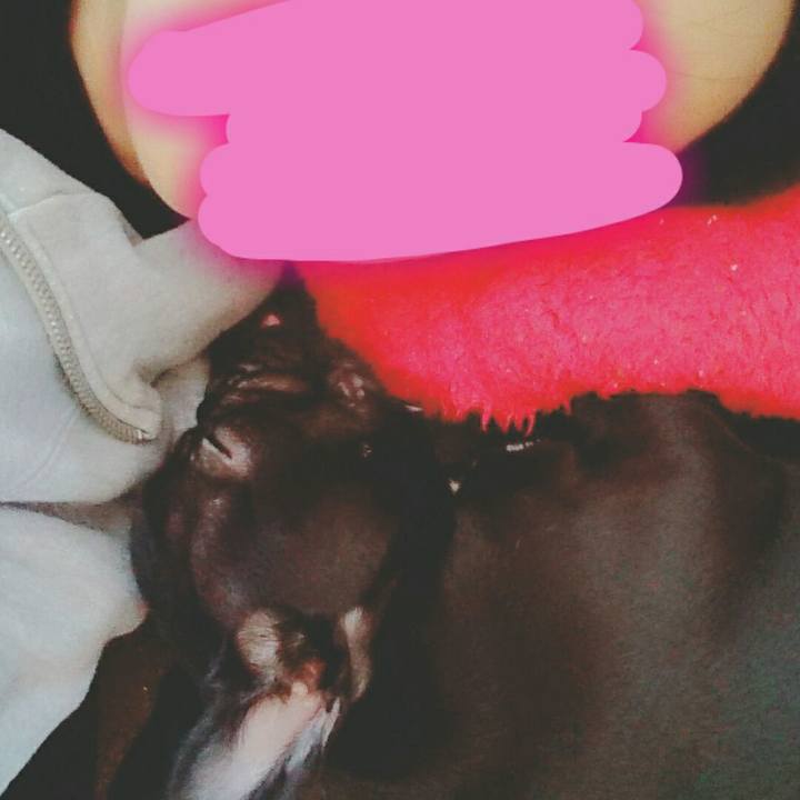 21c190c6 9c02 47a5 a0f9 b857a89f832e