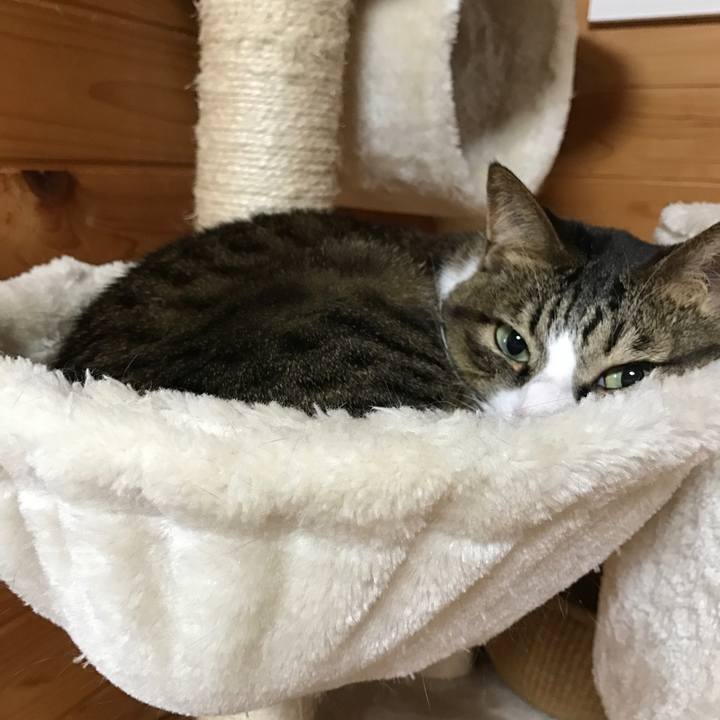 21c23666 d3be 49af 9b39 bfa18c27b982