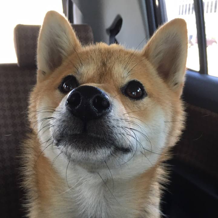 21c26014 38ab 4664 848e fa198d306f8a