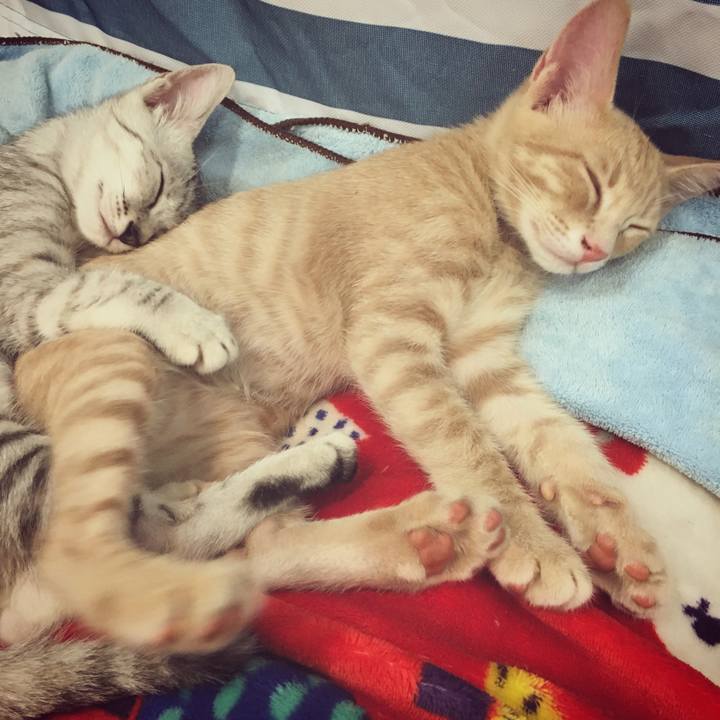 21c267cc b564 44b0 ae7d 6095714d747d