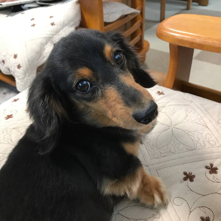 21c28bd6 0939 4608 8571 5ed8a44e58da