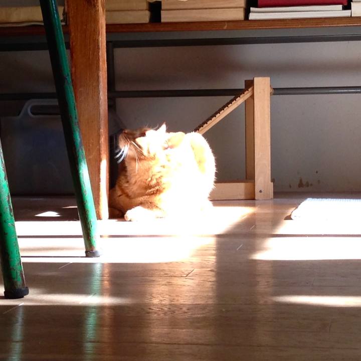 21c2eb82 ba81 4cf3 b4d7 0bc209307da9