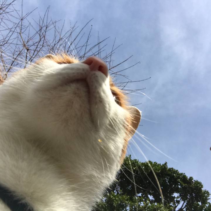 21c3031d c51e 4783 a9cf fbf4bd30cab1