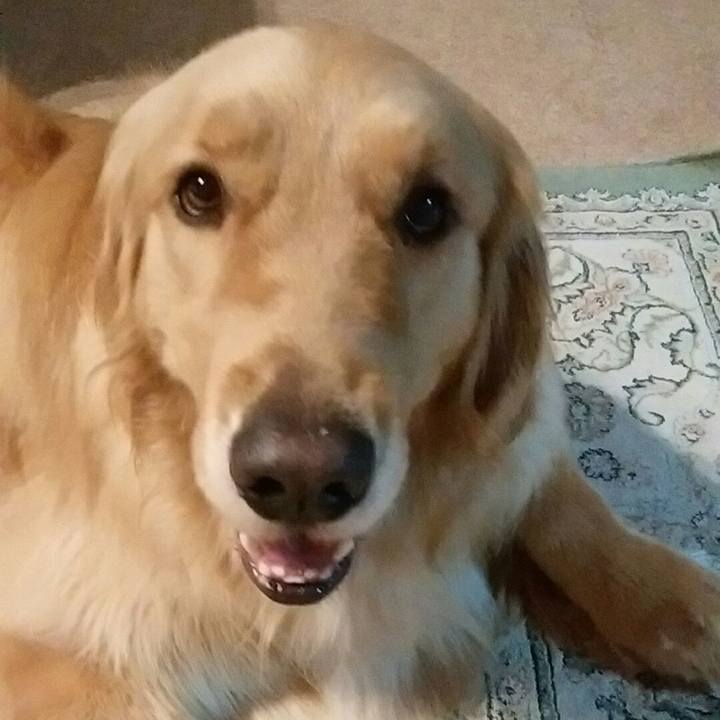 21c324b6 4550 4acc 8aee 9884f1074b85