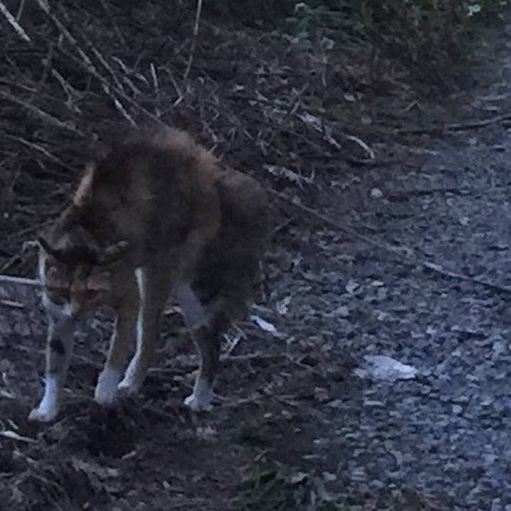 21c37bcf 277f 4890 b8a5 8150a9b4d728