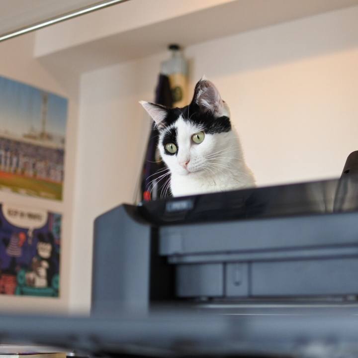 21c47425 3535 4ce9 b348 0077d5321a97