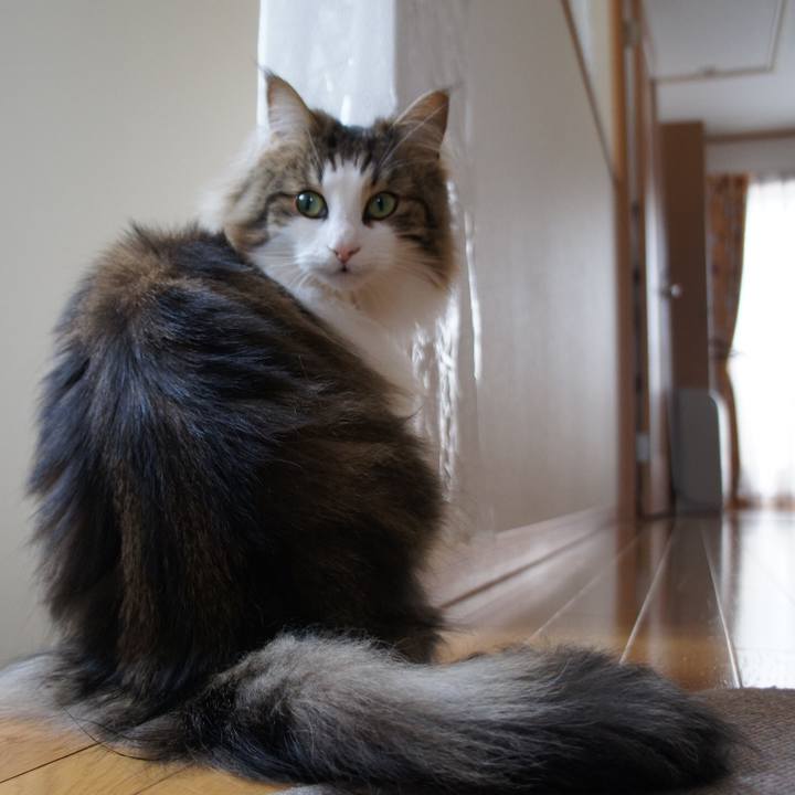 21c4eb55 facf 4f08 a21a ea17fcdf2e1e