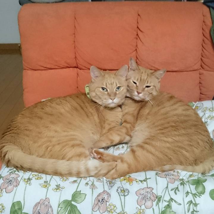 21c4f161 7ac5 4d8e 89e7 afbc752a7d99