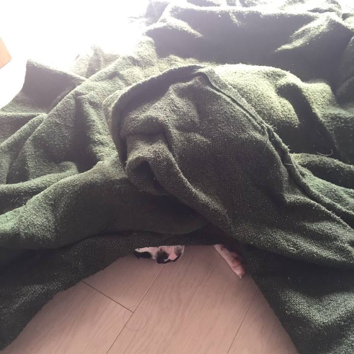 21c51c17 a325 4344 a211 b183a310382f