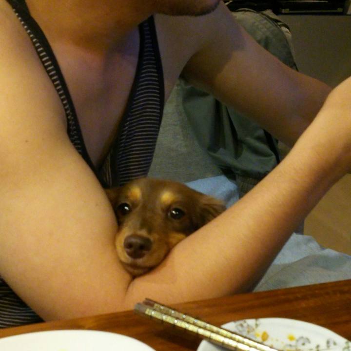 21c53d20 39d9 49ab 9002 594d471dfcb1