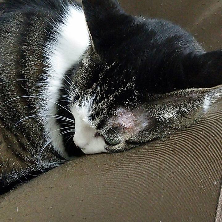 21c59c02 520f 4c16 b096 ce2a12658fb9