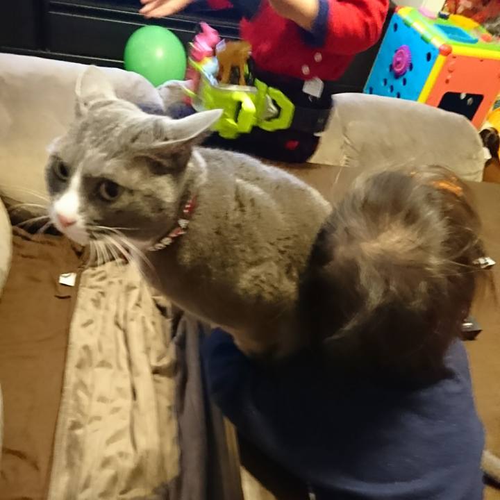 21c6438d d4d4 4c83 a9d0 4a997fc4b274