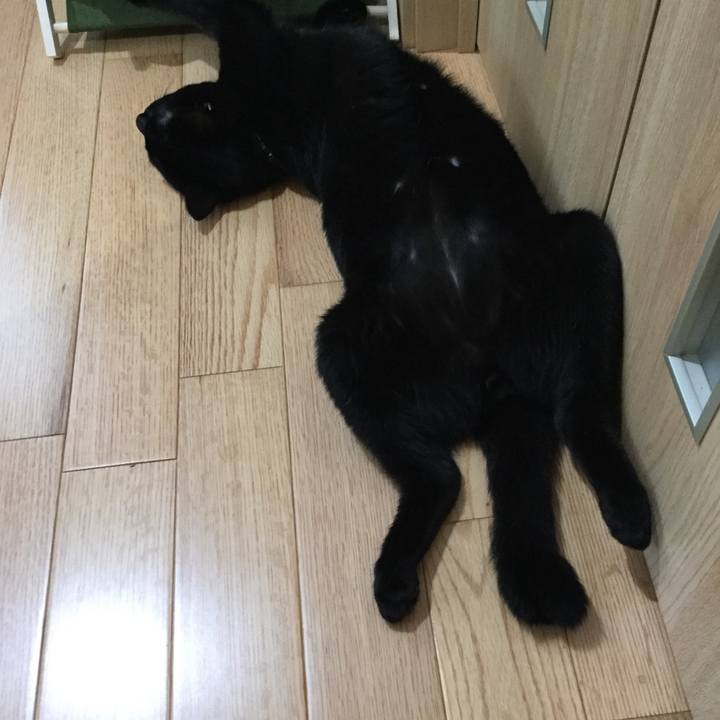 21c82d72 b429 43d7 94e7 131b5c749455