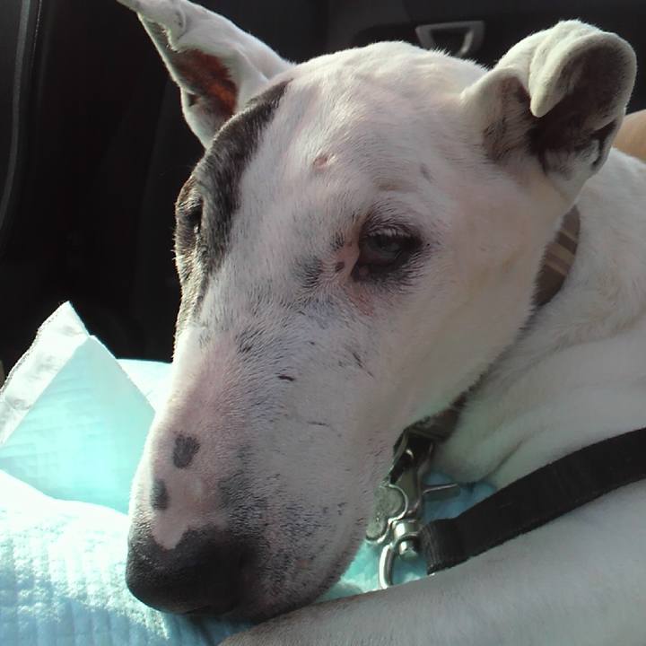 21c9f245 da73 4663 a094 23e073acd362