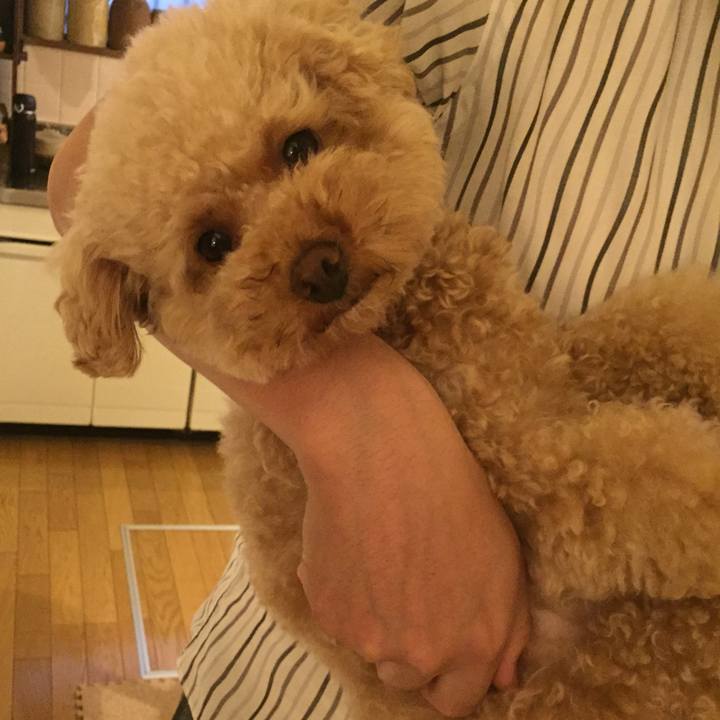 21ca174d eef5 489d 9831 8211ba883054