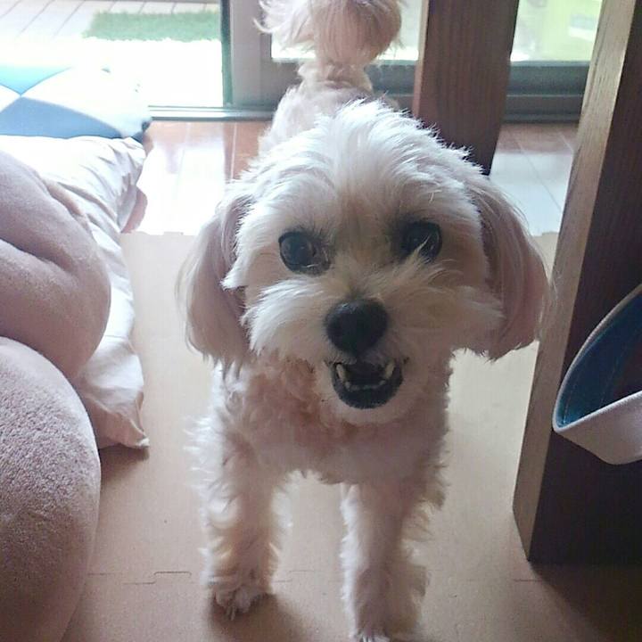 21ca17dc 1fc5 4b64 aeae bd0acbc48fda