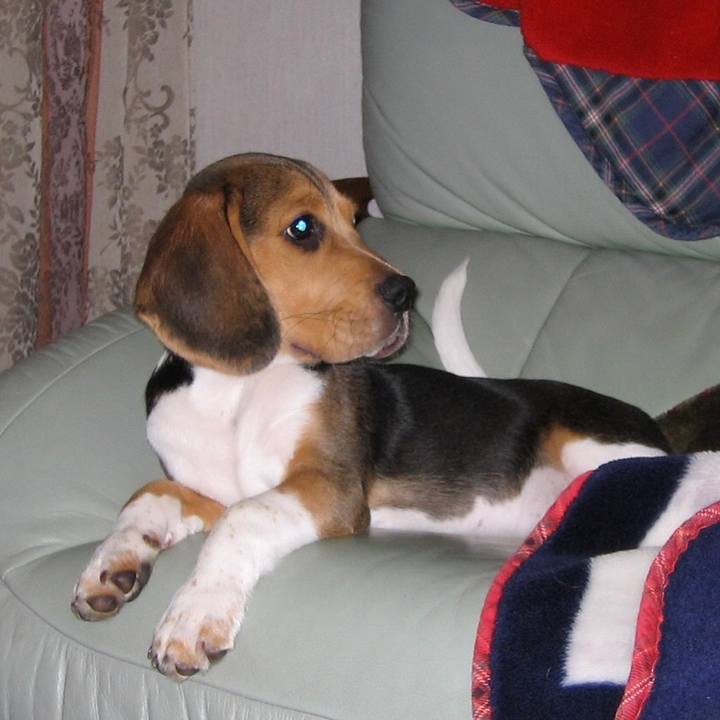 21ca4f93 306c 40a2 99ae e64952ab5721