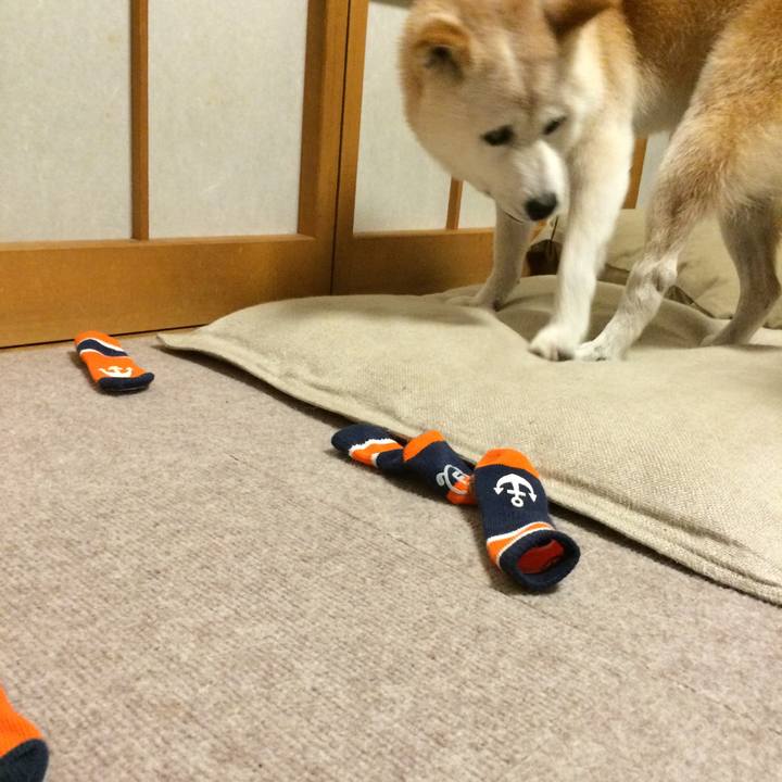 21ca60d0 9ad2 4515 abc1 7fb662e3d12e