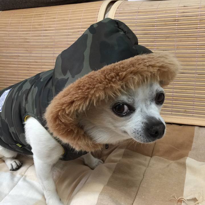 21ca67b1 5c7d 4767 8314 087cfb59adcb