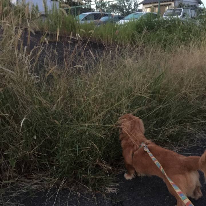 21ca90c2 f3c7 4429 8721 8e99b6ed4d8a