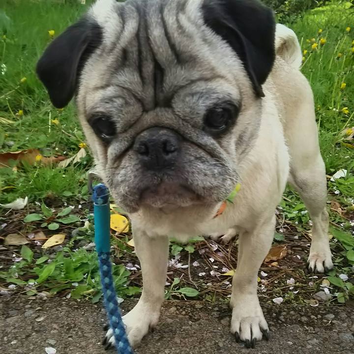 21caa40b e00e 40ed 8096 2ef8afecea79