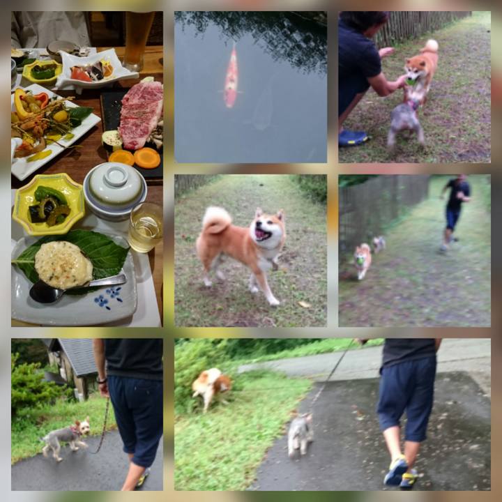 21cb16f8 f6d4 4bbb 995c a5e7e24ccc65