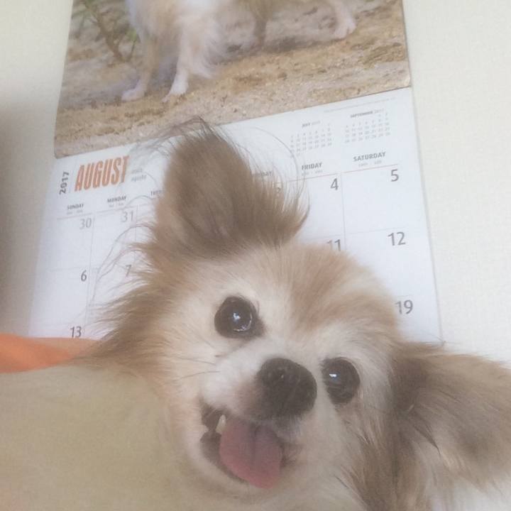 21cb21a0 8981 413e a8b6 18c93b4c7848