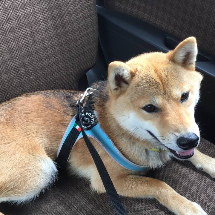 21cb831b 4cb9 4cf6 bb69 f8838ed71aec