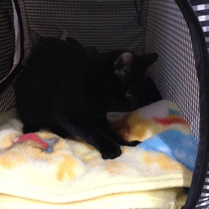 21cb9636 621f 4bc5 a719 346c7d0a6db9