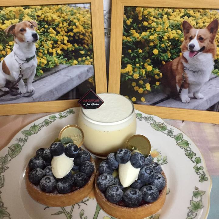 21cc1e5d 4639 4118 b3bc e0042785c63e