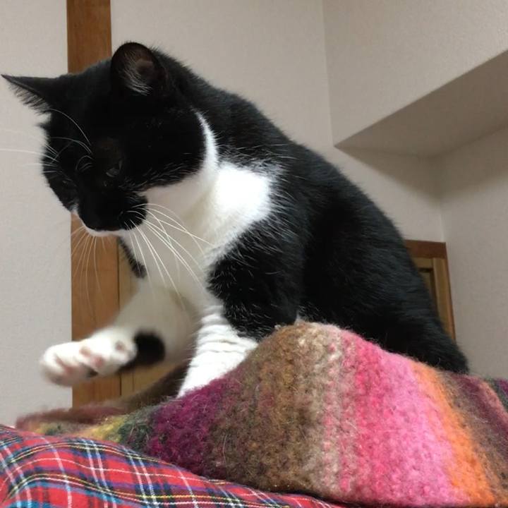 21ccf374 d05e 4d0f 9d43 96352a988d05