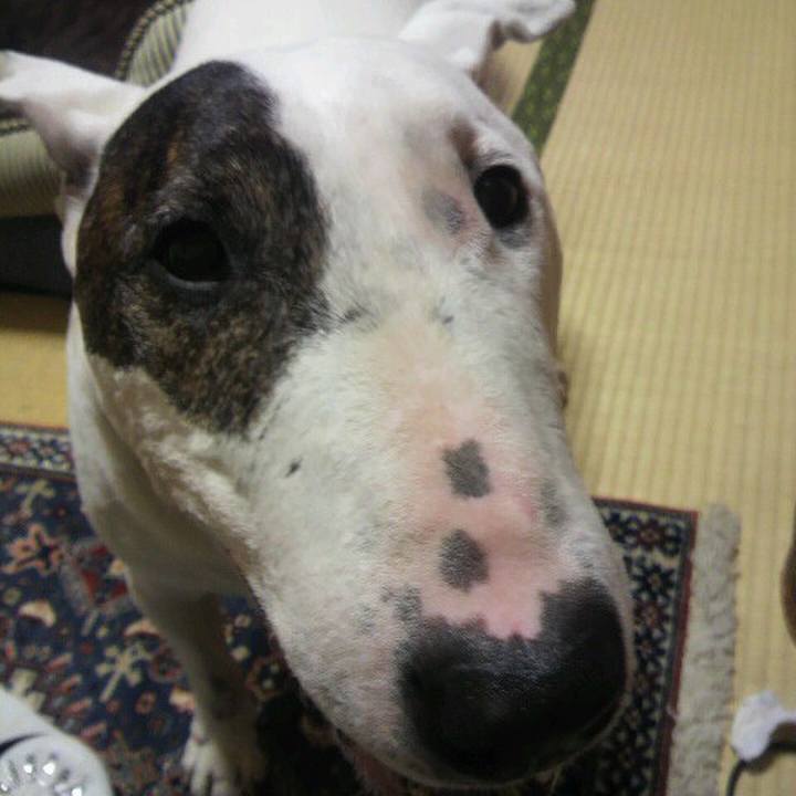 21cd0eb8 31ea 49c8 a185 8bb5e2a87dfb