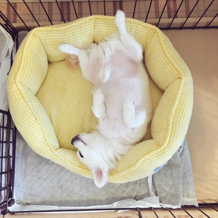 21cd1930 7b82 43d5 90d8 43612139b056