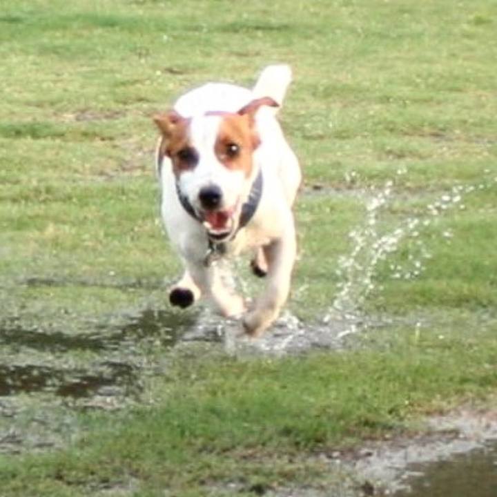 21cdf485 b94c 4638 af73 fe9d110cea45