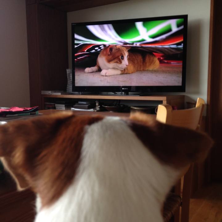 21cdf496 37f7 42af 9732 4a908062a49e