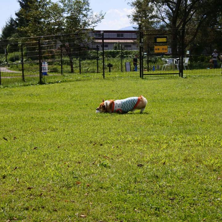 21ce4dd6 eacc 4d7e a6fd 786089b488c6