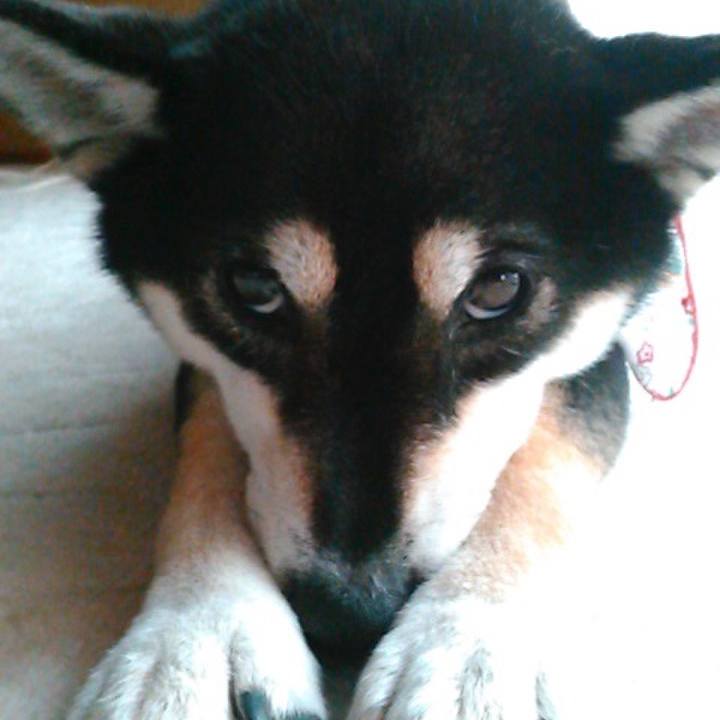 21ce89b3 d2a0 4245 988c 52dc0e169f2c