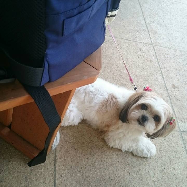 21d0422a 615f 4745 acb1 db018cc121c0