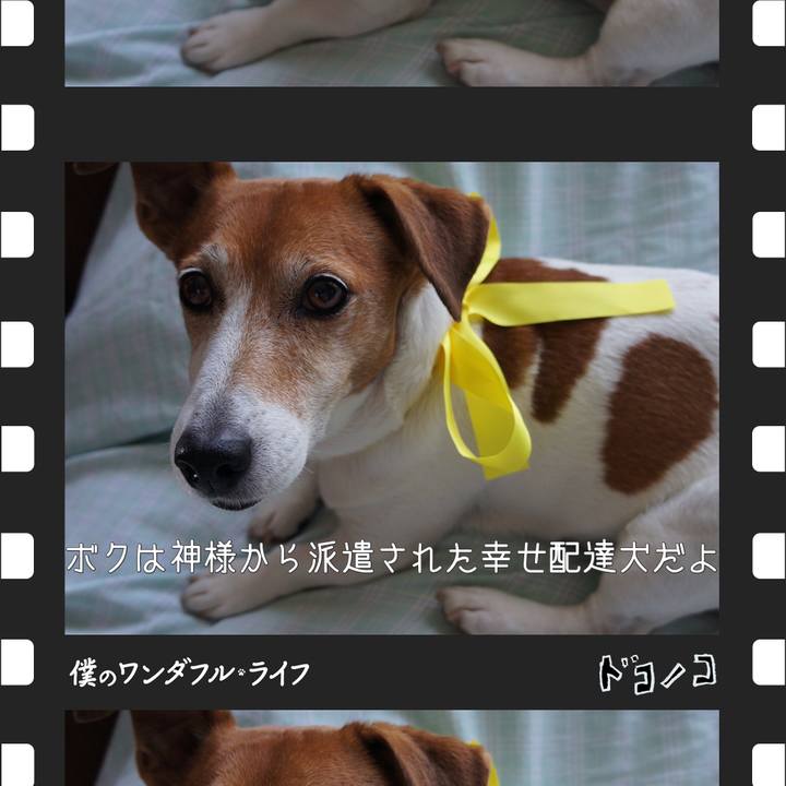 21d0567a 27c3 4439 be1e 9ff7f83da5c1