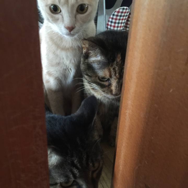 21d05e8d 5687 4653 b6d2 6ec3d9a185dd