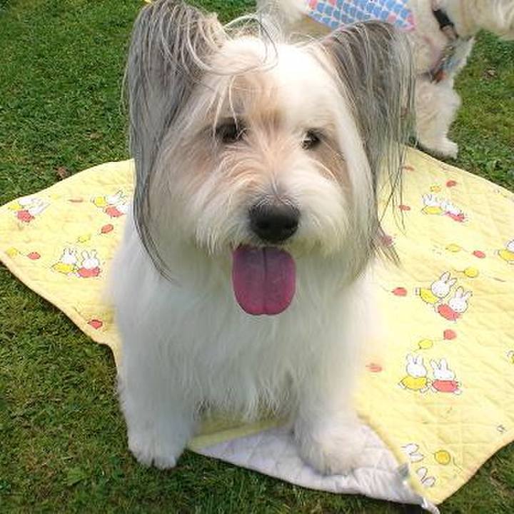 21d06015 b4d2 42a7 bb30 3072a4109fdb