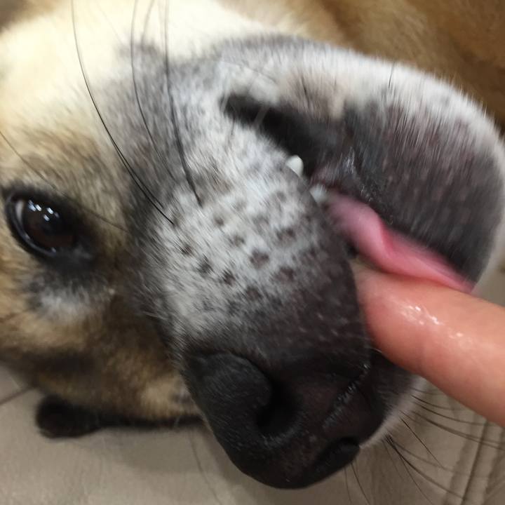 21d06153 43be 4ab0 8664 e07fab500191