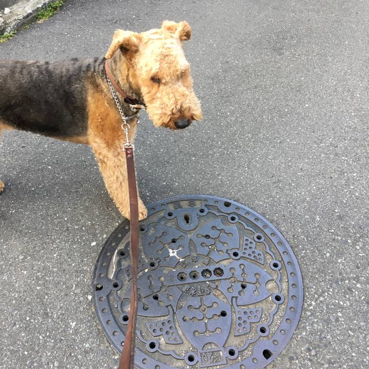 21d0dc73 3e85 4c76 8267 6913097b2b62