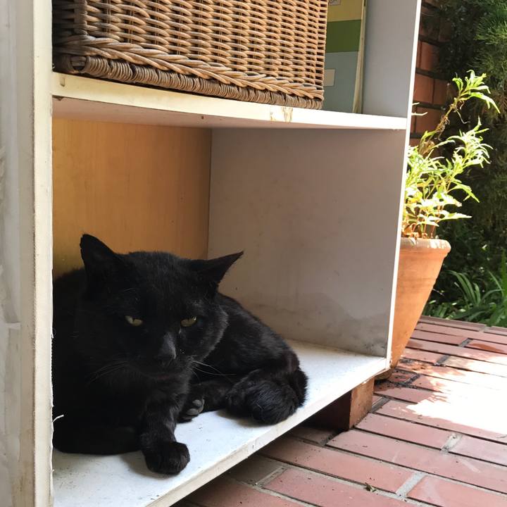 21d2305c 9c17 4958 b035 eb1e6d39cea4