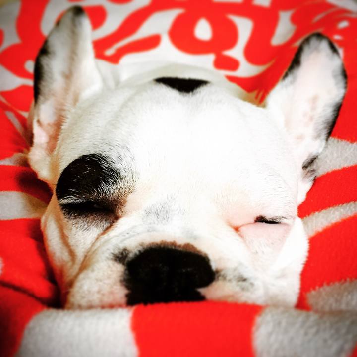 21d2878d e2a1 4572 a42c 62d3b11f87e7