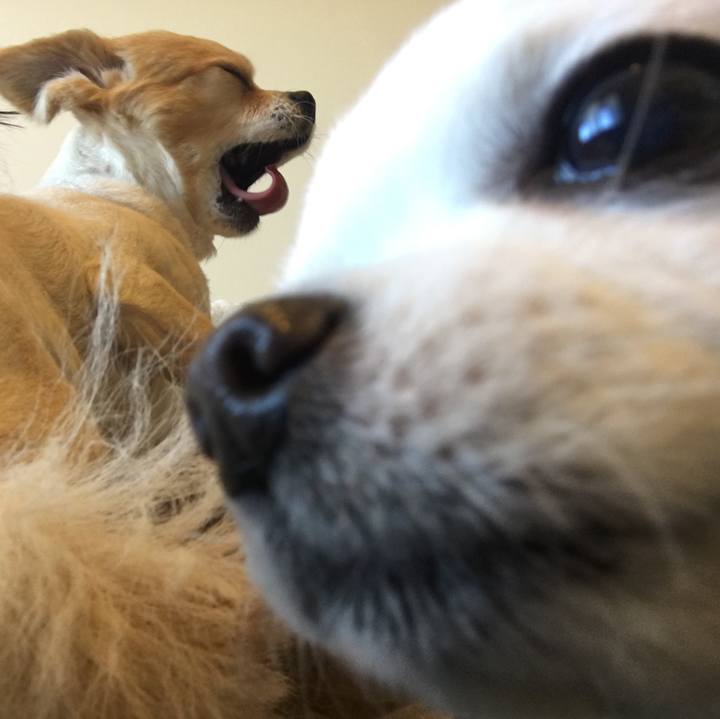 21d2bc08 348f 49a6 bca1 bdbefe51fdba