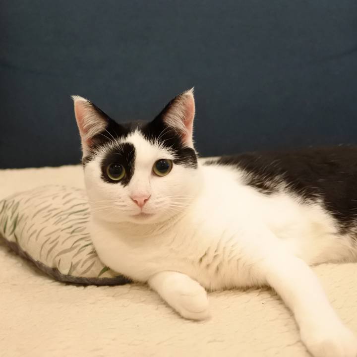 21d2d743 a737 4a1d a5ad 1e3ee63256b3