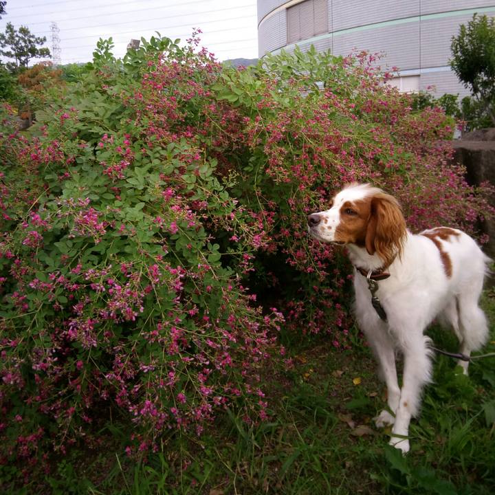 21d34388 f228 46a6 a030 2d3abbbe360d