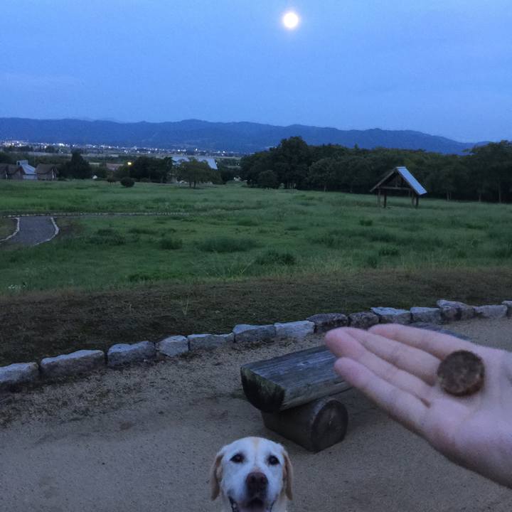 21d34b6f f265 4ea4 af15 2a4abcbd5ae9